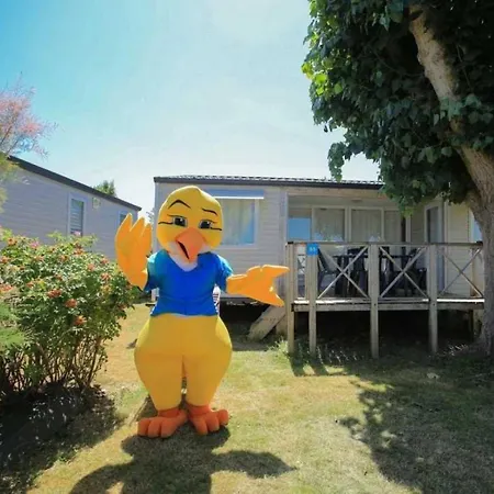 Σπίτι διακοπών Mobilhome 4 Etoiles - Piscine - Eeebgi